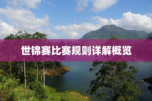 世锦赛比赛规则详解概览