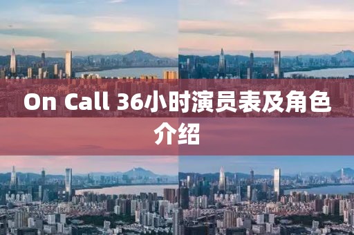 On Call 36小时演员表及角色介绍