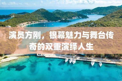 演员方刚，银幕魅力与舞台传奇的双重演绎人生