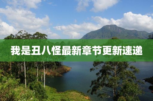 我是丑八怪最新章节更新速递