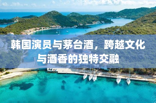 韩国演员与茅台酒，跨越文化与酒香的独特交融