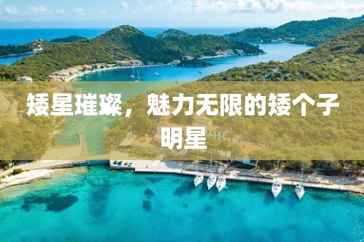 矮星璀璨，魅力无限的矮个子明星