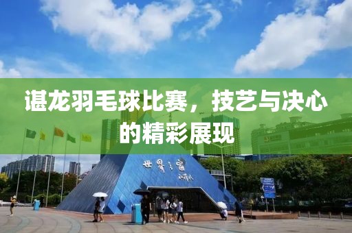 谌龙羽毛球比赛，技艺与决心的精彩展现