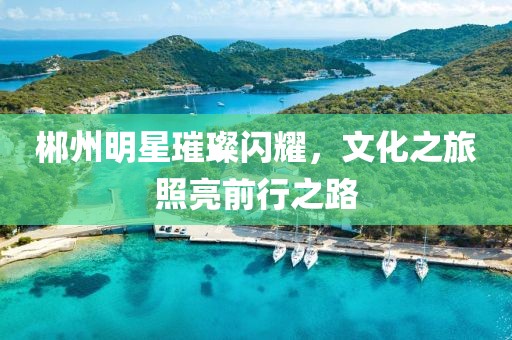 郴州明星璀璨闪耀，文化之旅照亮前行之路