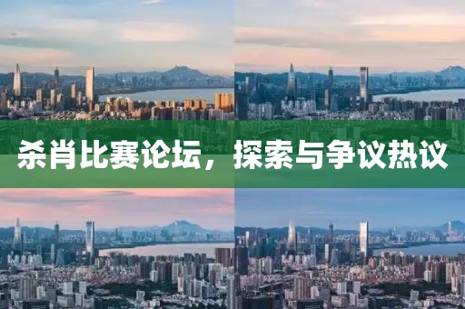 杀肖比赛论坛，探索与争议热议