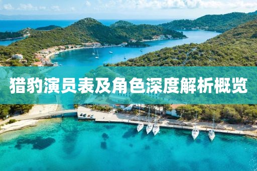 猎豹演员表及角色深度解析概览