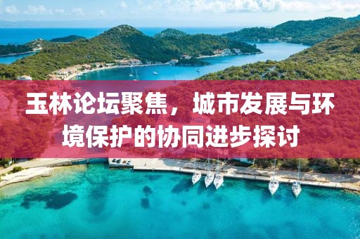 玉林论坛聚焦，城市发展与环境保护的协同进步探讨