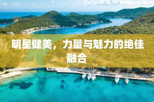 明星健美，力量与魅力的绝佳融合