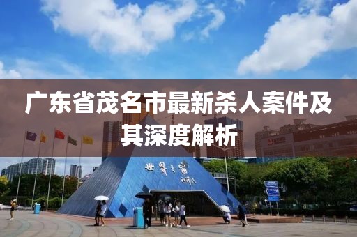 广东省茂名市最新杀人案件及其深度解析
