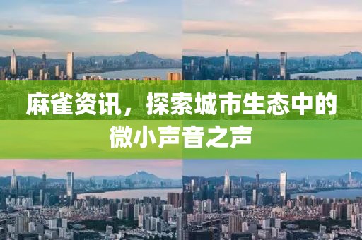 麻雀资讯，探索城市生态中的微小声音之声
