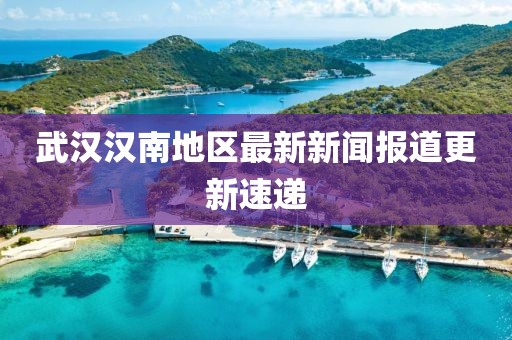 武汉汉南地区最新新闻报道更新速递
