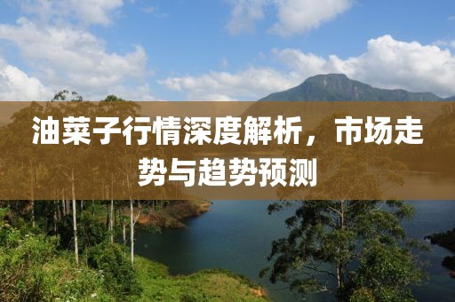 油菜子行情深度解析，市场走势与趋势预测