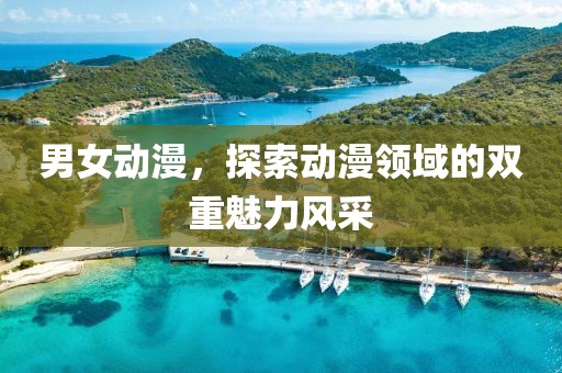男女动漫，探索动漫领域的双重魅力风采
