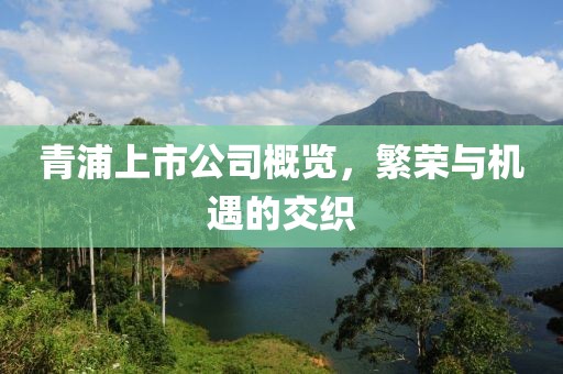 青浦上市公司概览，繁荣与机遇的交织