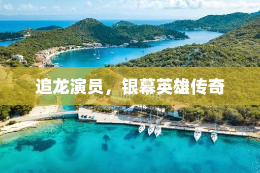 追龙演员，银幕英雄传奇