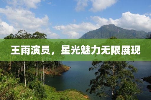 王雨演员，星光魅力无限展现