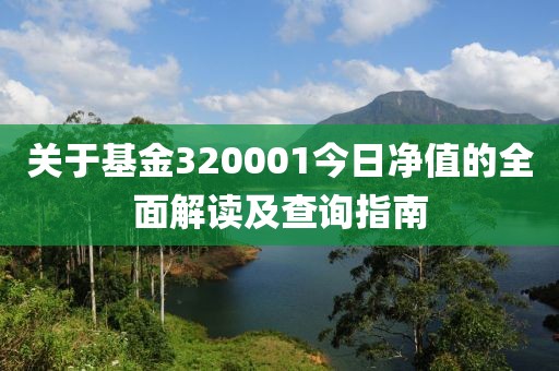 关于基金320001今日净值的全面解读及查询指南