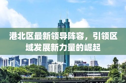 港北区最新领导阵容，引领区域发展新力量的崛起