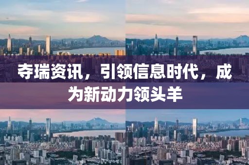 夺瑞资讯，引领信息时代，成为新动力领头羊