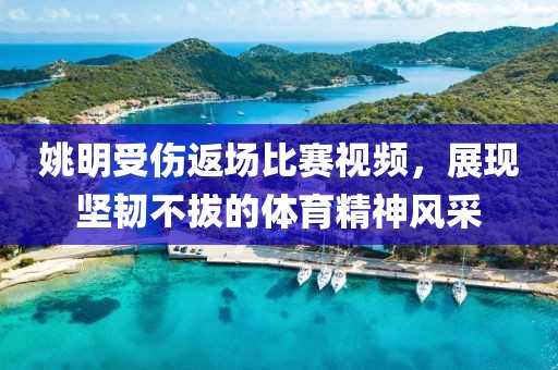 姚明受伤返场比赛视频，展现坚韧不拔的体育精神风采