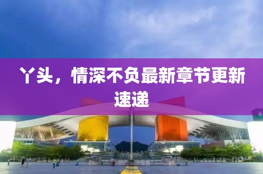 丫头，情深不负最新章节更新速递