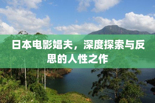 日本电影娼夫，深度探索与反思的人性之作