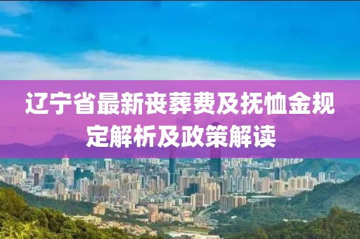 辽宁省最新丧葬费及抚恤金规定解析及政策解读