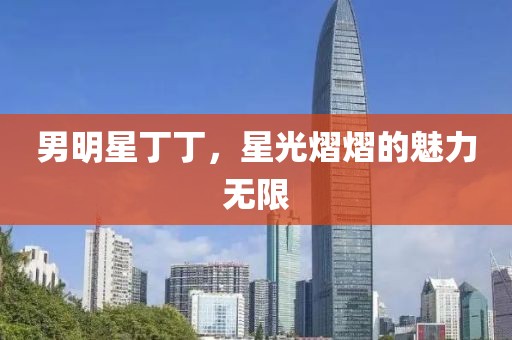 男明星丁丁，星光熠熠的魅力无限
