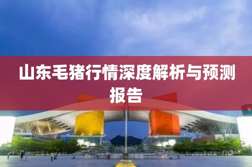山东毛猪行情深度解析与预测报告