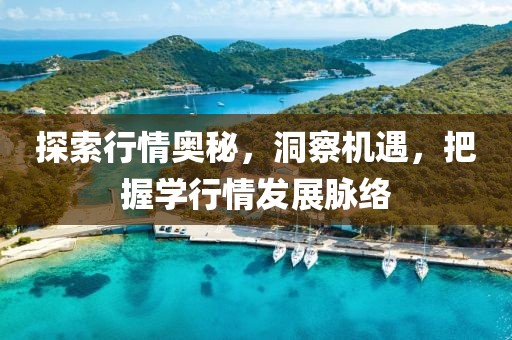探索行情奥秘，洞察机遇，把握学行情发展脉络