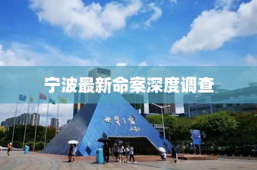 宁波最新命案深度调查