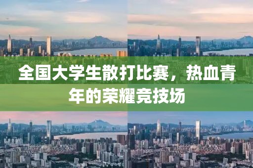 全国大学生散打比赛，热血青年的荣耀竞技场