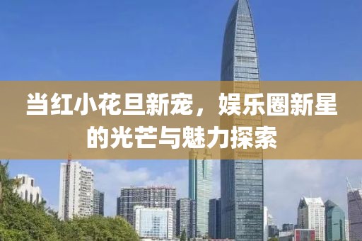 当红小花旦新宠，娱乐圈新星的光芒与魅力探索