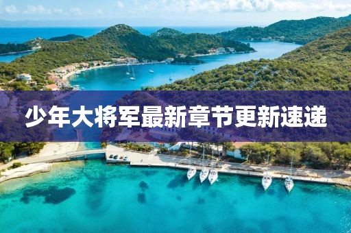 少年大将军最新章节更新速递
