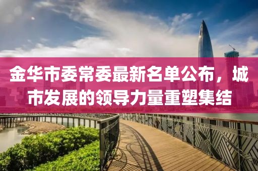 金华市委常委最新名单公布，城市发展的领导力量重塑集结
