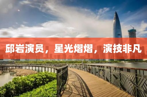 邱岩演员，星光熠熠，演技非凡