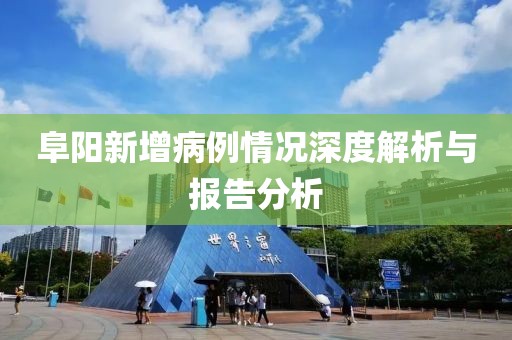 阜阳新增病例情况深度解析与报告分析