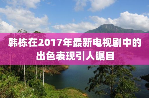 韩栋在2017年最新电视剧中的出色表现引人瞩目