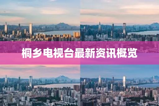 桐乡电视台最新资讯概览