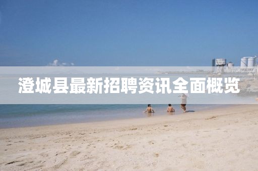 澄城县最新招聘资讯全面概览