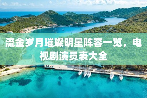流金岁月璀璨明星阵容一览，电视剧演员表大全