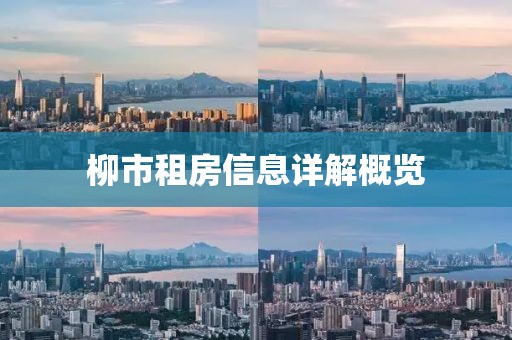 柳市租房信息详解概览