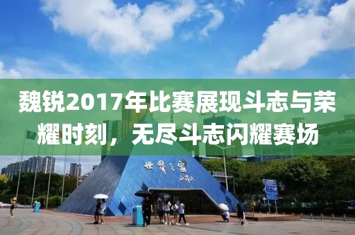 魏锐2017年比赛展现斗志与荣耀时刻，无尽斗志闪耀赛场