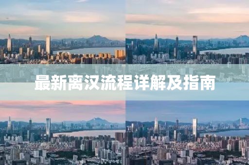 最新离汉流程详解及指南