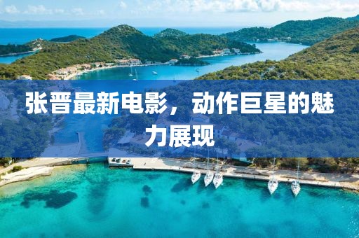 张晋最新电影，动作巨星的魅力展现