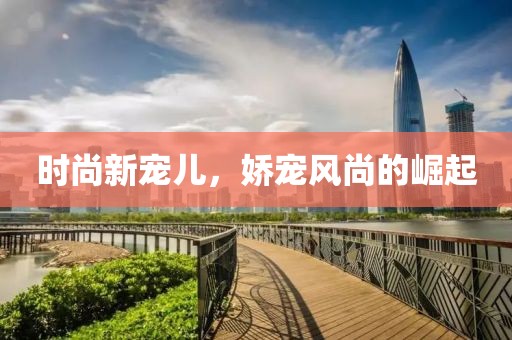 时尚新宠儿，娇宠风尚的崛起