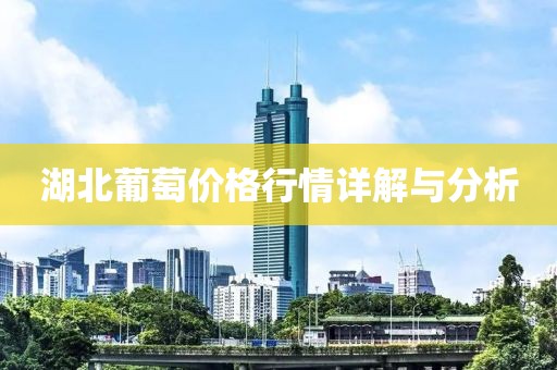湖北葡萄价格行情详解与分析