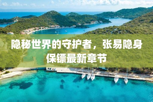 隐秘世界的守护者，张易隐身保镖最新章节