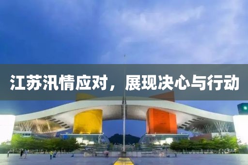江苏汛情应对，展现决心与行动