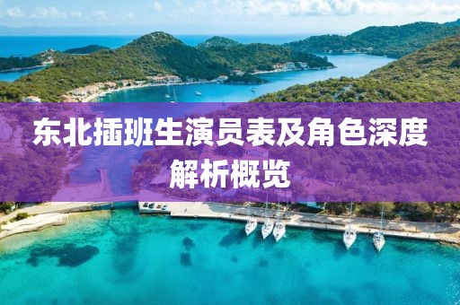 东北插班生演员表及角色深度解析概览